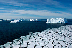 Programa FAPESP de Pesquisa sobre Mudanças Climáticas Globais tem nova chamada