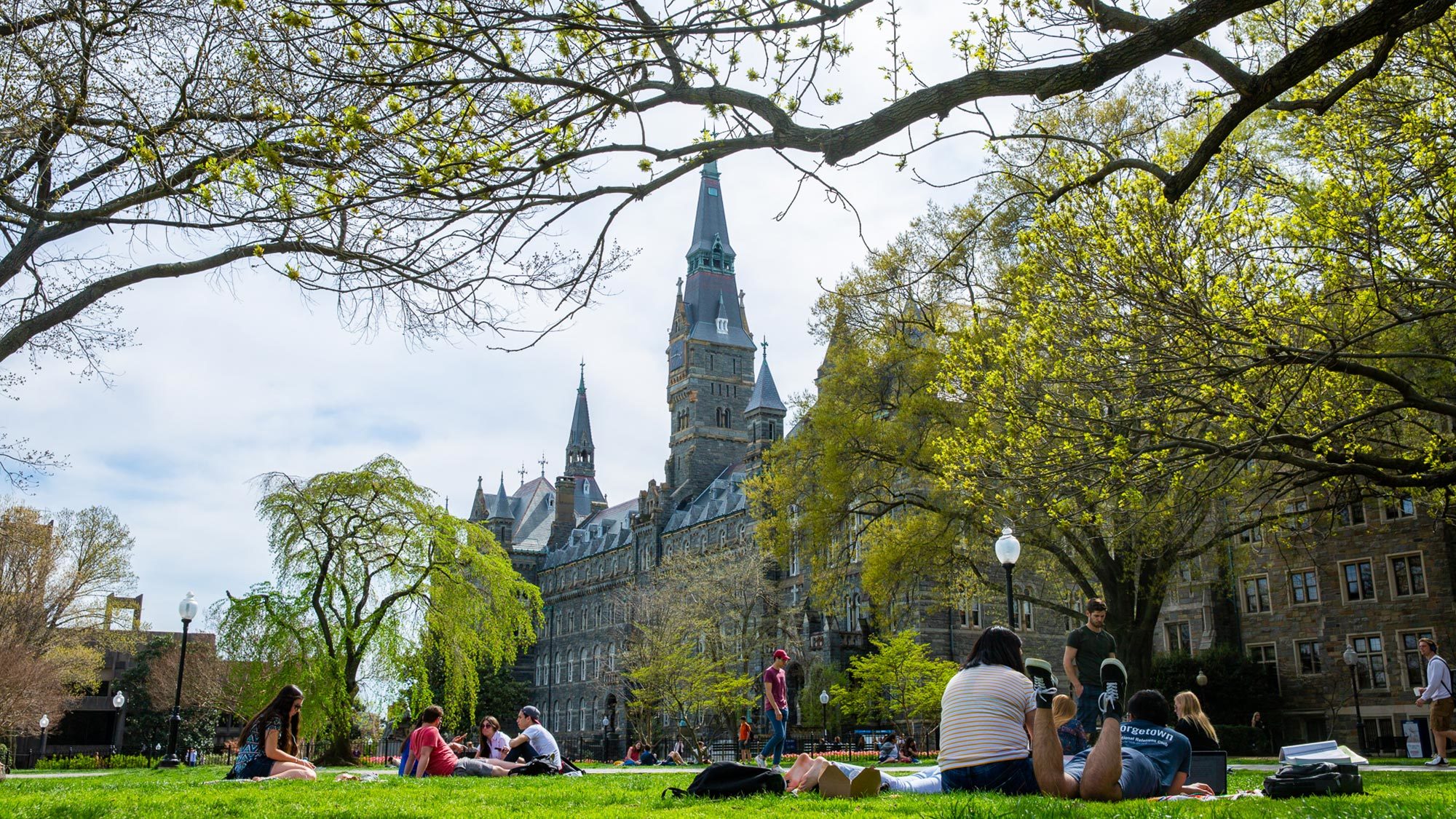 Cátedra Ruth Cardoso na Georgetown University abre nova chamada