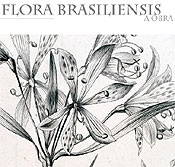 Flora do Brasil na internet