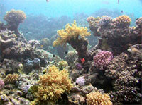 Workshop on Marine Biodiversity