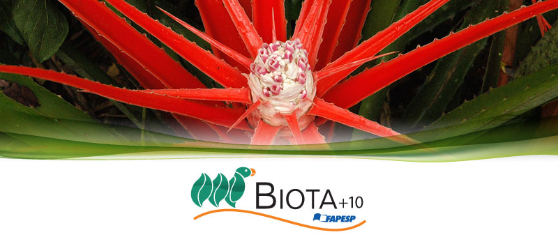 Lançamento das Atividades BIOTA-FAPESP 2013 